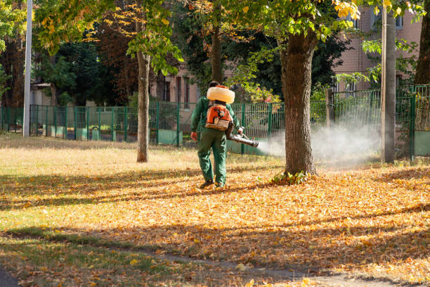 Best Pest Inspection Near Me  in Cambridge, MA