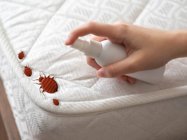 Best Best Pest Control Companies  in Cambridge, MA
